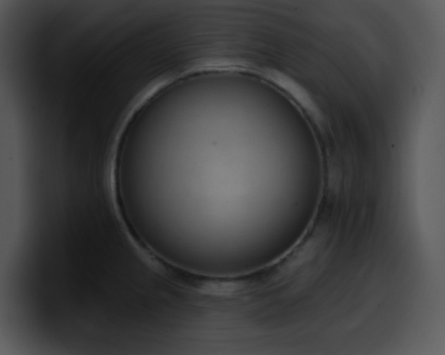X0000100411237200806061334