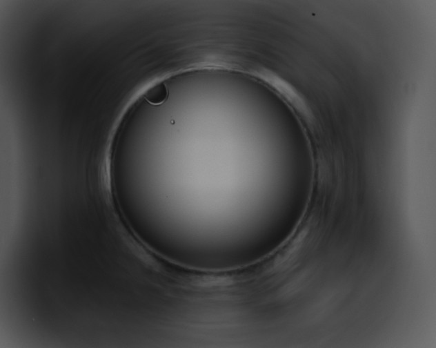 X0000100411238200806061334
