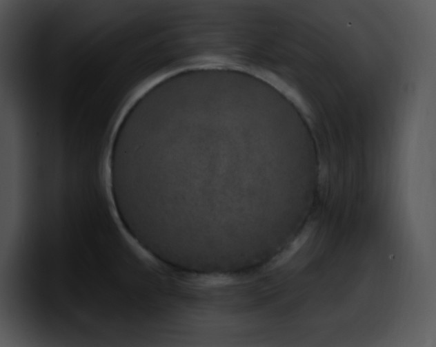 X0000100411239200806061334