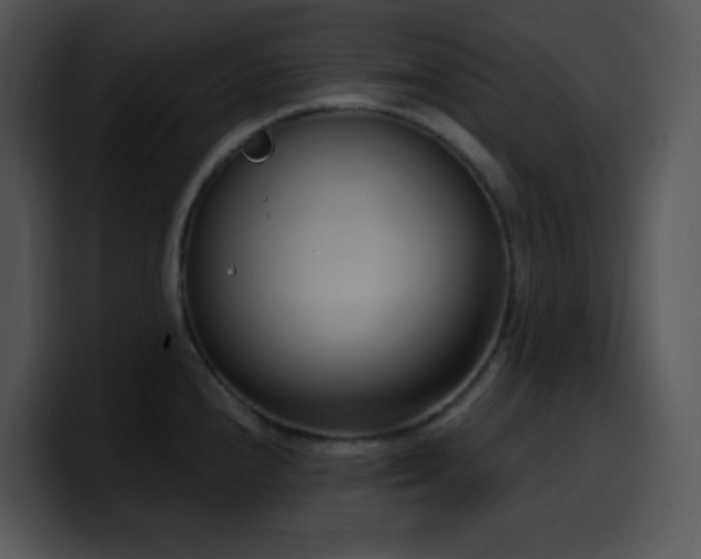 X0000100411240200806061334