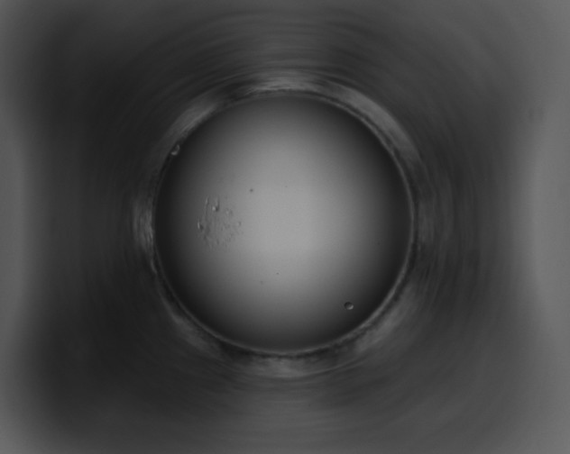 X0000100411241200806061334