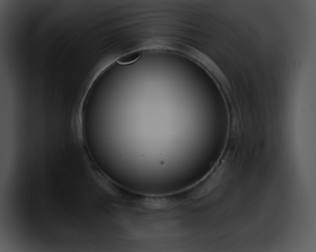 X0000100411242200806061334