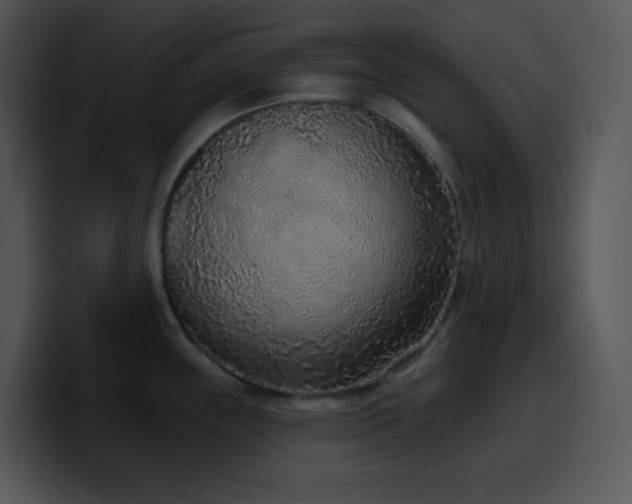 X0000100411243200806061334