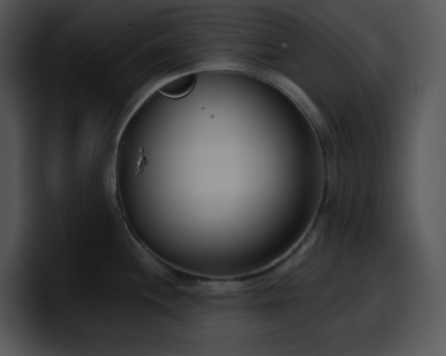 X0000100411244200806061334