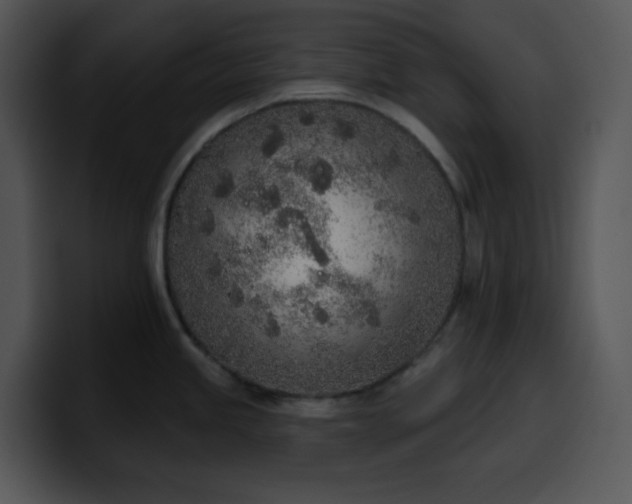 X0000100411245200806061334