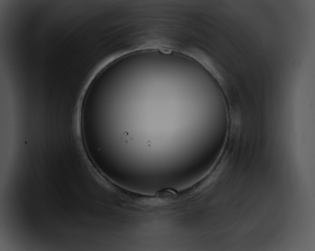 X0000100411246200806061334