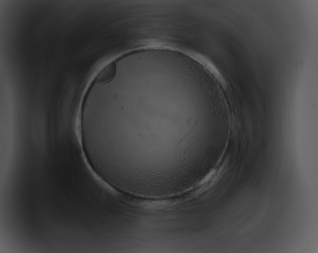 X0000100411247200806061335