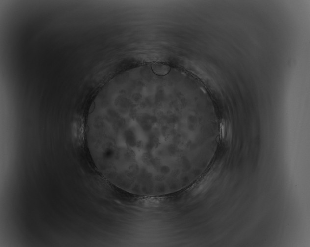 X0000100411251200806061334