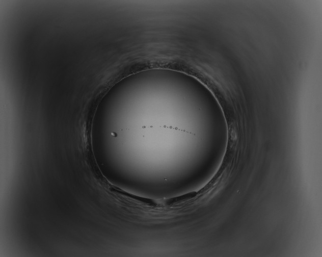 X0000100411252200806061334