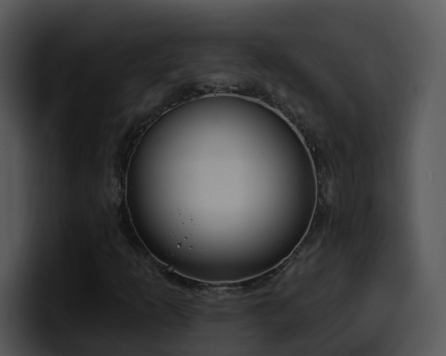 X0000100411253200806061334