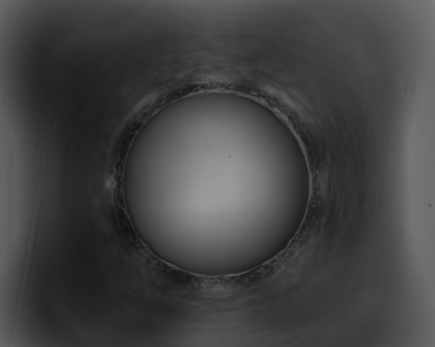 X0000100411254200806061334