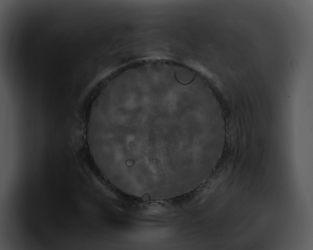 X0000100411255200806061334