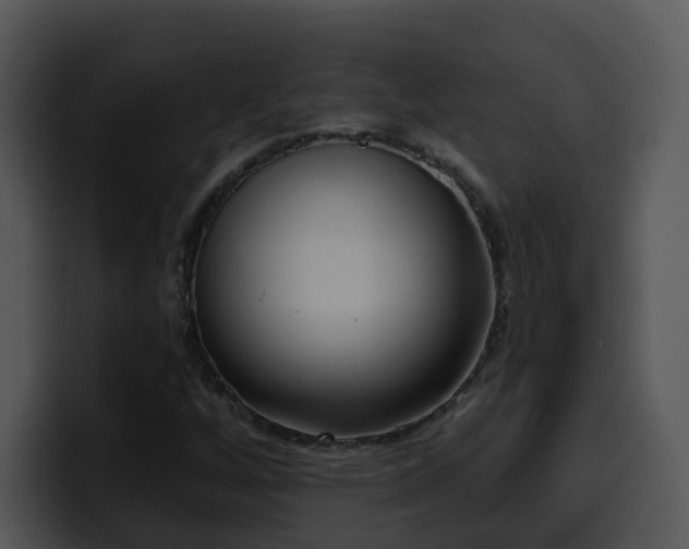 X0000100411256200806061334