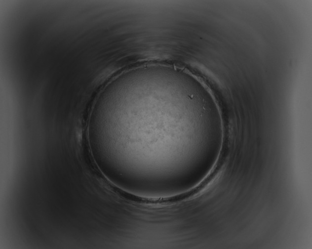 X0000100411257200806061334