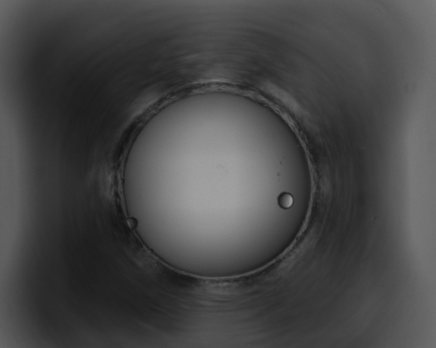 X0000100411258200806061334