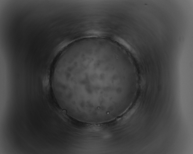 X0000100411259200806061334