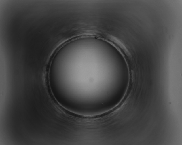 X0000100411260200806061334