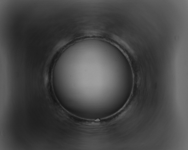 X0000100411261200806061334