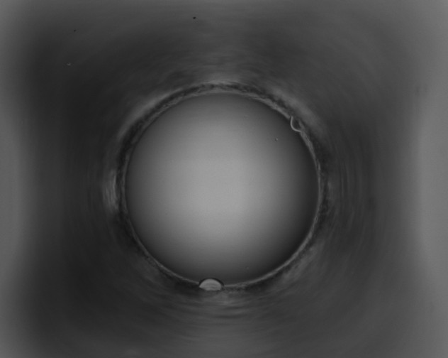 X0000100411262200806061334