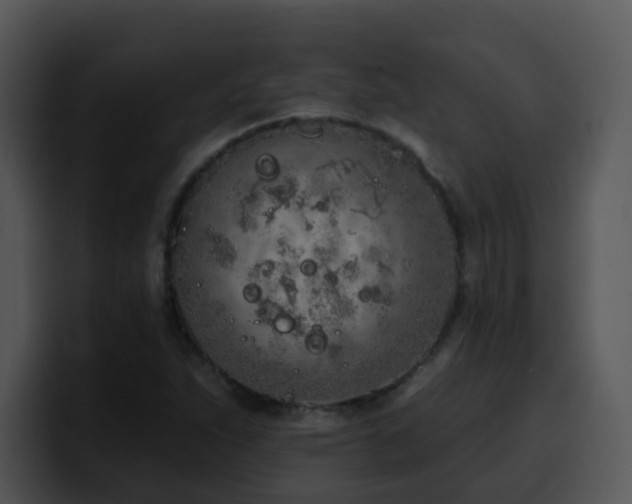 X0000100411263200806061334