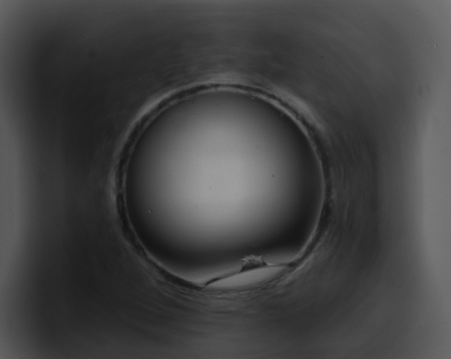 X0000100411264200806061334
