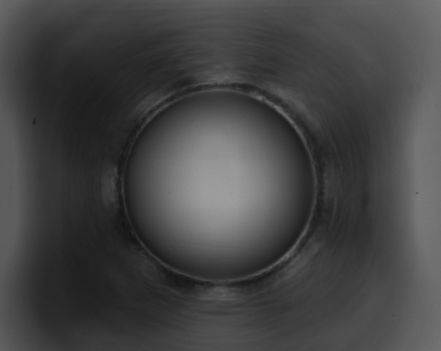 X0000100411265200806061334