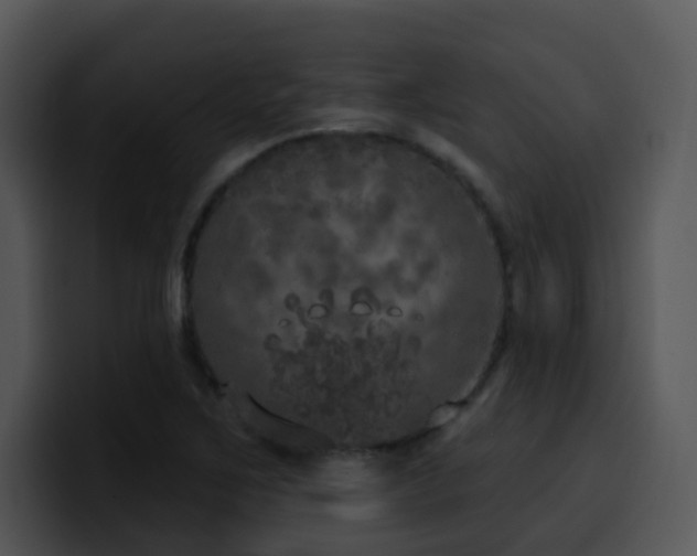 X0000100411267200806061334