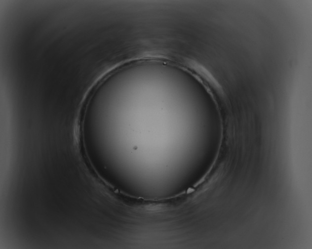 X0000100411268200806061334