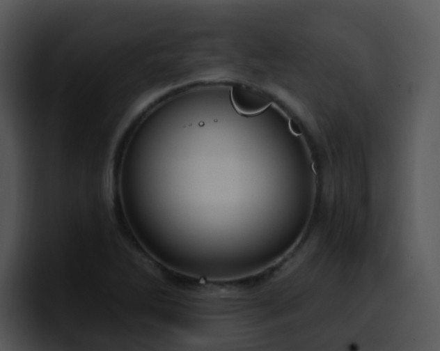 X0000100411270200806061333