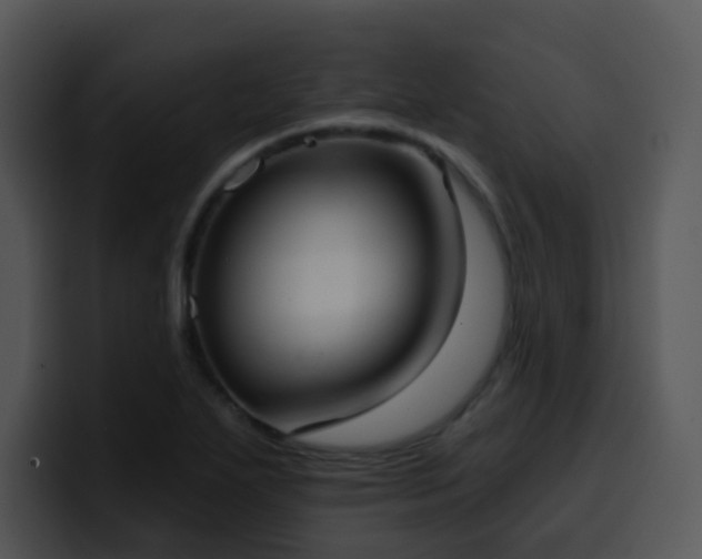 X0000100411271200806061333