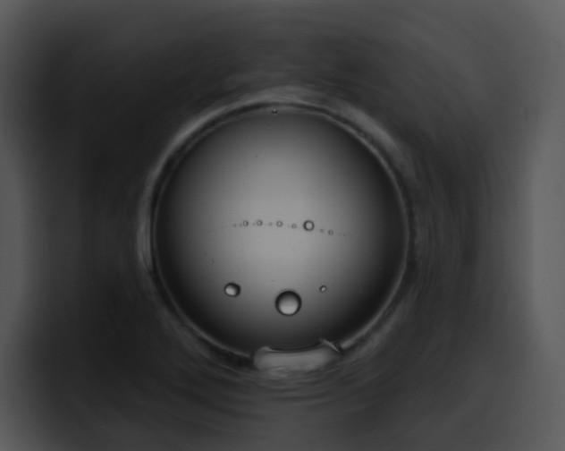 X0000100411272200806061333