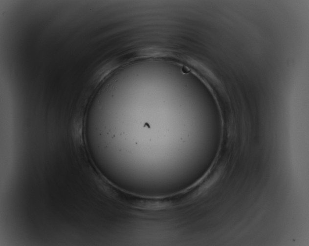 X0000100411273200806061333