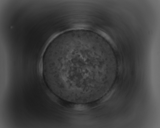 X0000100411275200806061333