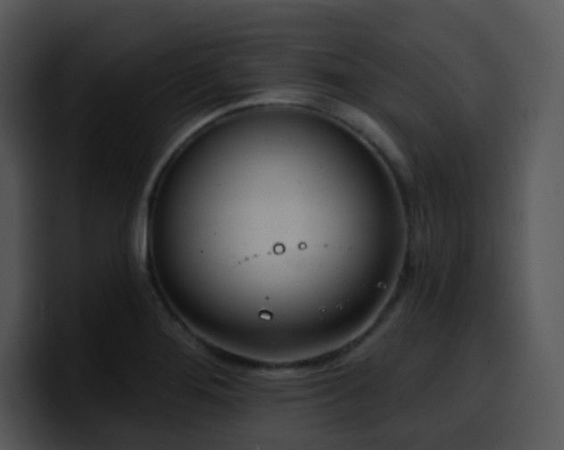 X0000100411276200806061333