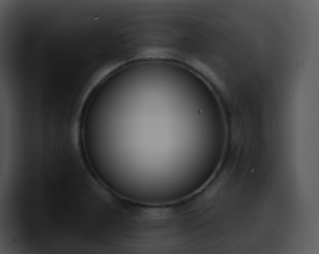 X0000100411277200806061333