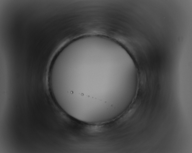 X0000100411278200806061333