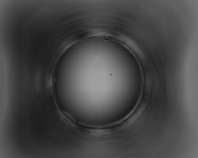 X0000100411281200806061333