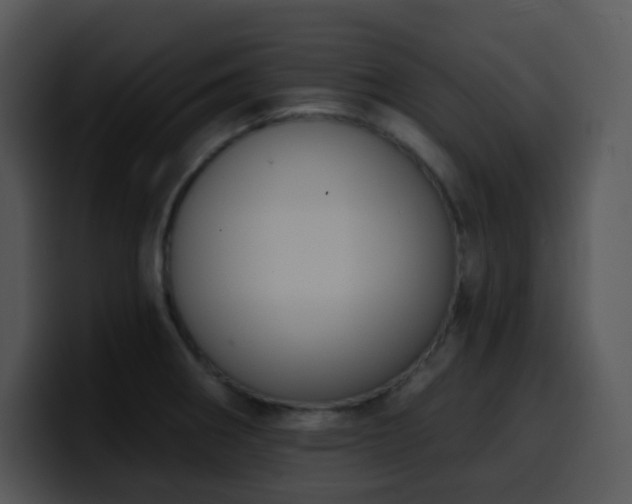 X0000100411282200806061333