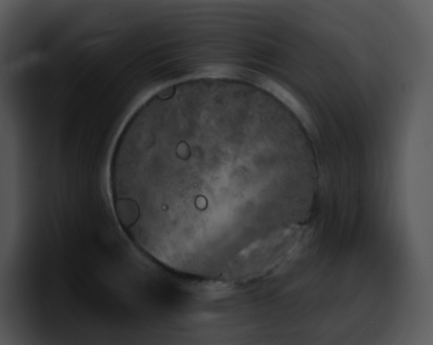 X0000100411283200806061333