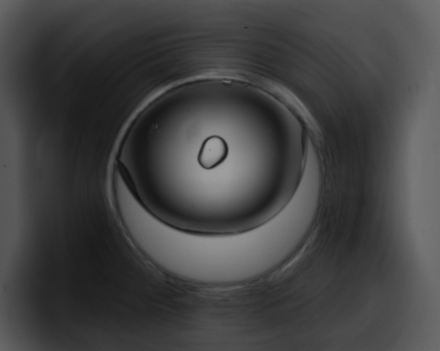 X0000100411284200806061333
