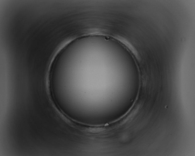 X0000100411285200806061333
