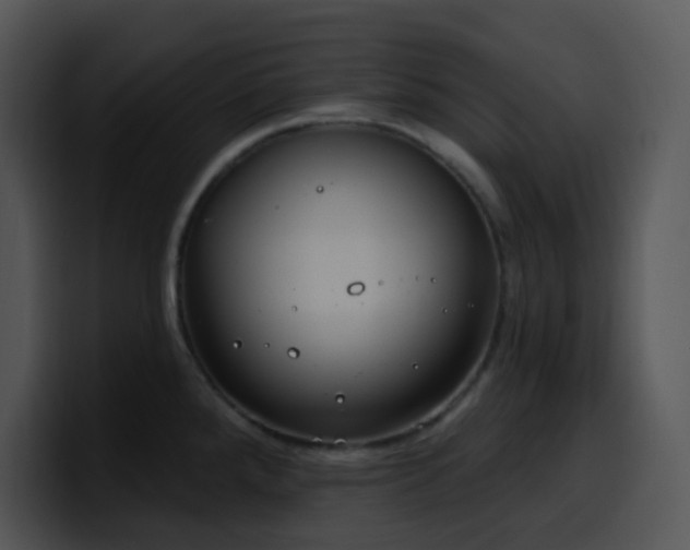 X0000100411288200806061333