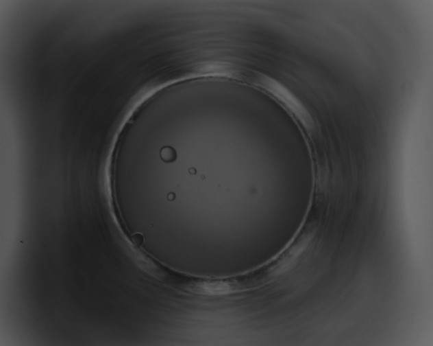 X0000100411291200806061333