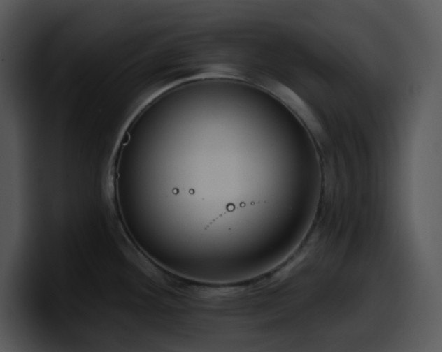 X0000100411292200806061333