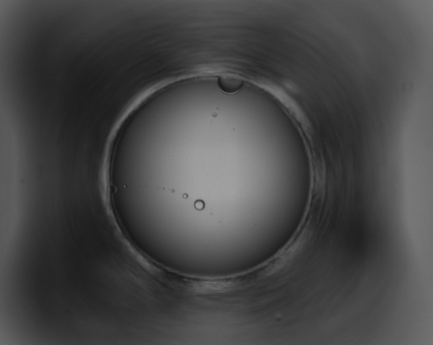 X0000100411294200806061333
