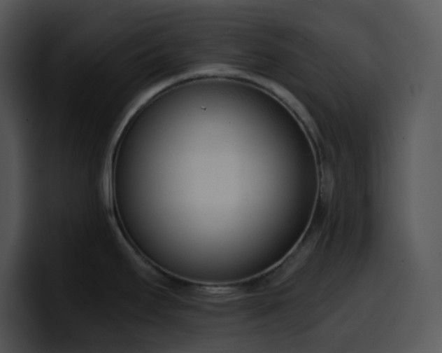X0000100411295200806061333