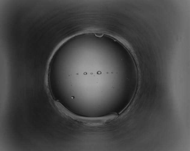 X0000100411296200806061333