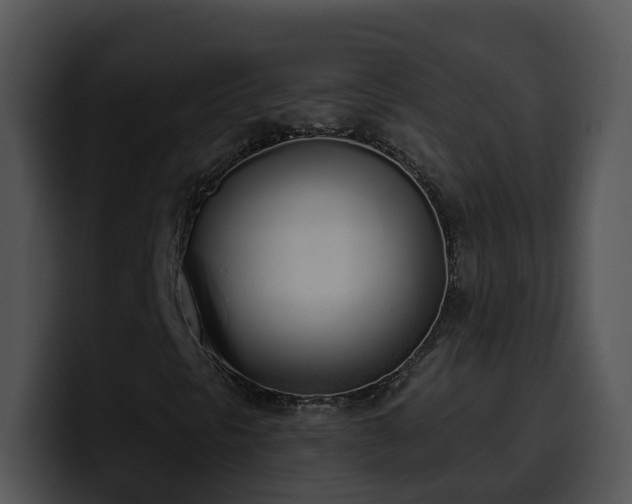 X0000100411297200806061332