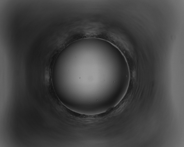X0000100411300200806061332