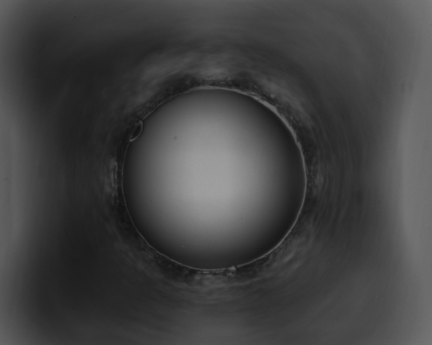 X0000100411301200806061332